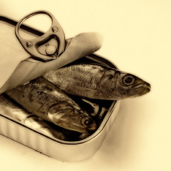 Sardines packed tightly